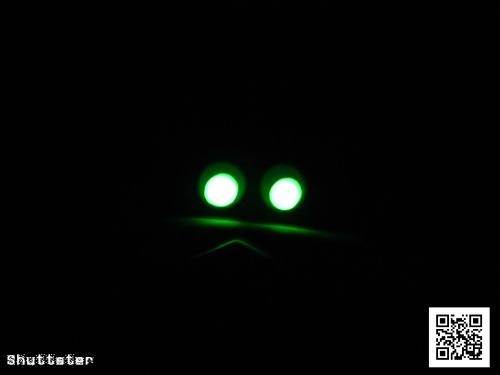 Porn Pics shuttster:  Luminescent Googly Eyes I have