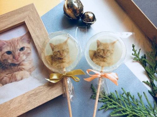 Lollipops With Your Pet Photo //dabarada