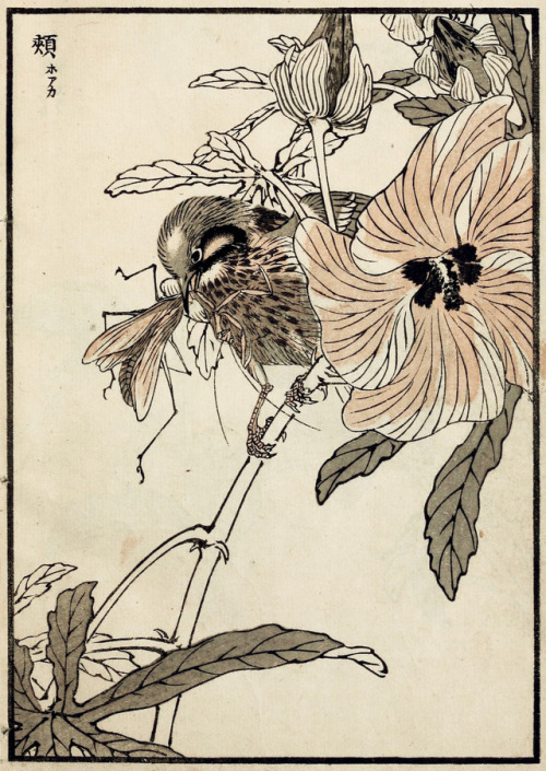 Kōno Bairei (1844-1895), “Bairei hyakucho gafu”, Vol. 1, 1881Source