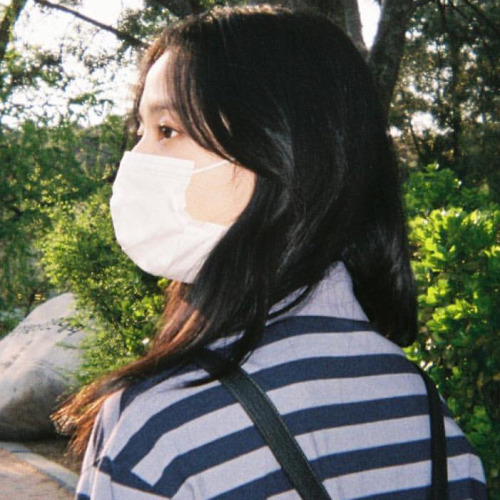 Lisoo Layouts