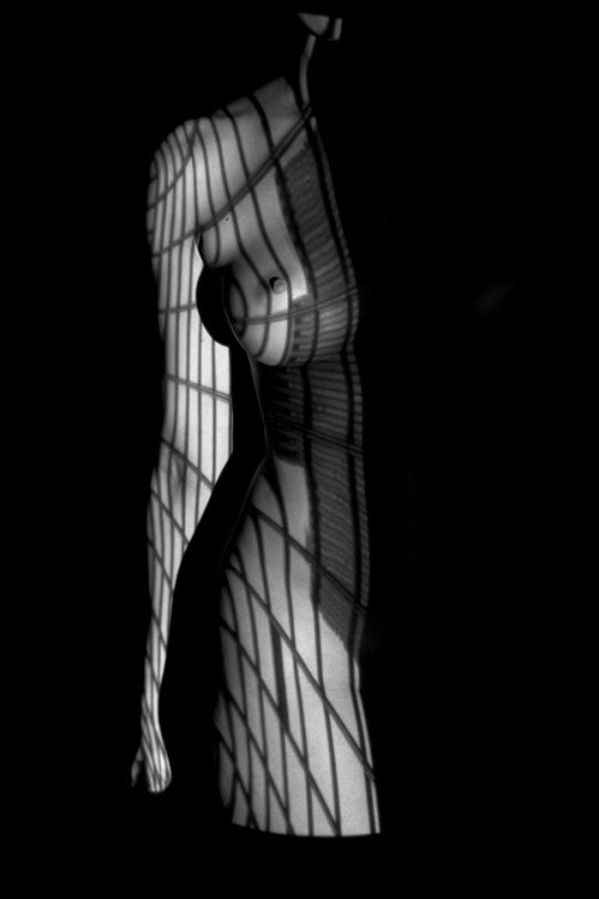 sonyarot-world: 