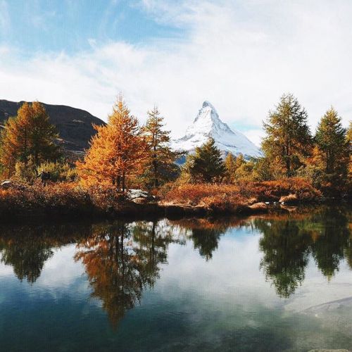 melodyandviolence:  by   nicolehunziker   