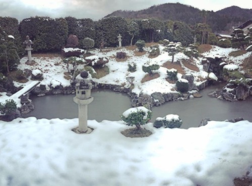 ＼おにわさん更新情報／ ‪[ 滋賀県長浜市 ] 浄信寺庭園（木之本地蔵院） Joshin-ji Temple Garden, Nagahama, Shiga の写真・記事を更新しました。 ーー #日本