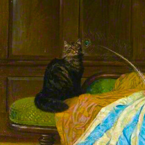 Cats + Art
