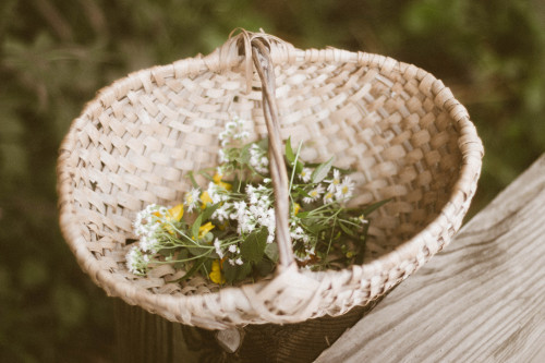 mossofthewoodsjewelry:Just got back from a hike collecting some of the late summer-early autumn flow