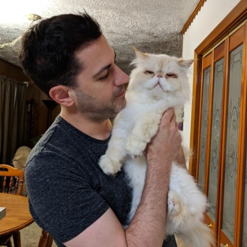 Mom’s two favorite guys #fluffypantsdaily #cat #himalayan #persian #catsofinstagram #catstagra