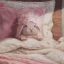 pixxiebaby