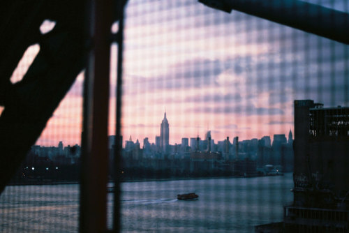 yung-odx:  floeurs: untitled by Film Fancier on Flickr.   $  vtk