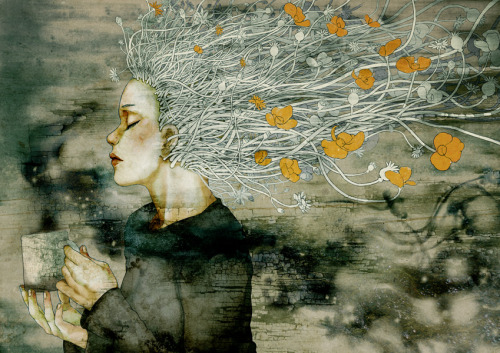 fer1972:Illustrations by Khoa Le