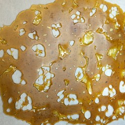 weedporndaily:  #619vsog #dewaxed #ntane 99.9 #closedloop #vacoven #52hourpurge #dank #dope #710 #dabcity #dabfam #dabbers #gwfam #greenworkssd #gworks by greenworkssd http://ift.tt/1q2jALU