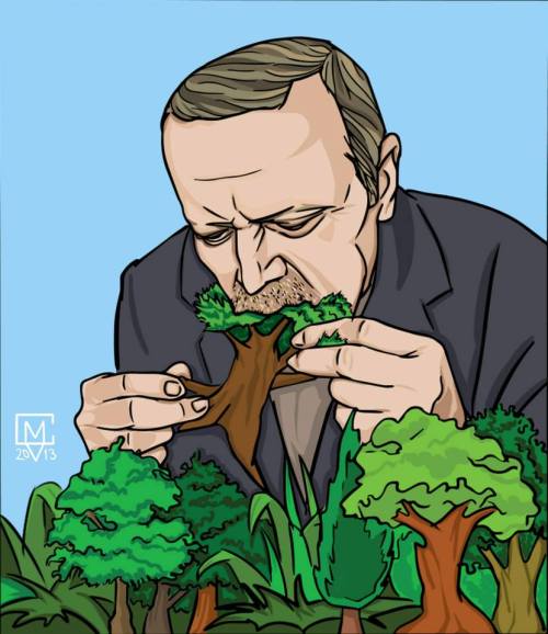 tayyip