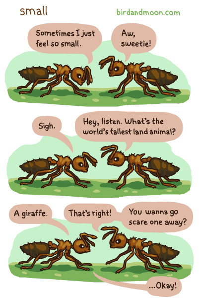 birdandmoon:  A comic about the insanely amazing relationship between ants and acacia trees. See the original here. Many thanks to my friends in the Pierce Lab for ant advice and inspiration. Any and all factual errors are my own (eg. ants only talk to