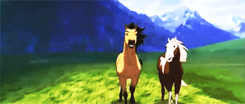 spiritstallion:  .. because we never really move on, we never really forget. 