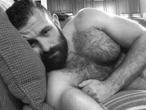 The Underwear Bear