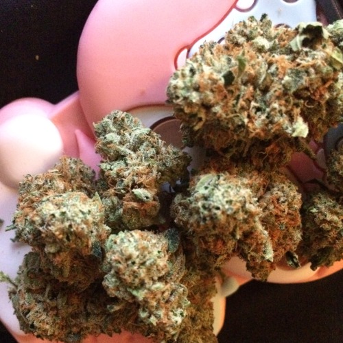 eatmypuss: Had to get Krystal Kief Yummmm