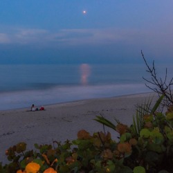 kabhi-kabhi:Mars over the Atlantic  photo by John Kraus