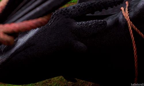 halleluyall:  asktoothless:  Rumour has it that this little scene was actually an