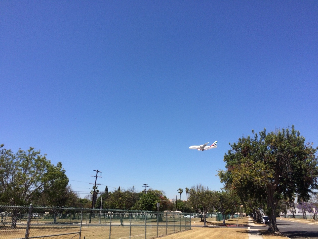 Morning walk around the neighborhood.