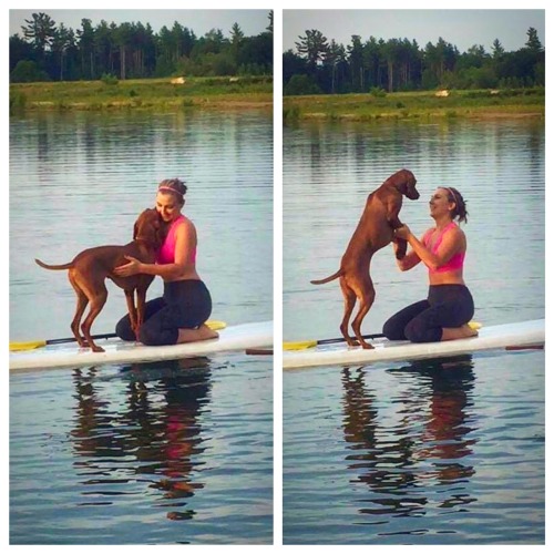 heyheyjules:  Paddle boarding with my baby  I’m going to give this a go