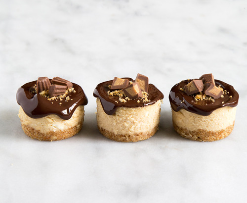 kawaii-food-is-kawaii:  MINI PEANUT BUTTER PRETZEL CHEESECAKES 