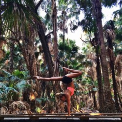 Thesuncameouttoplay:  Some Yoga In A Mosquito Infested Rainforest.. We Didn’t Last