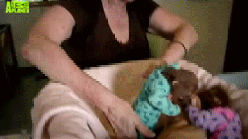 quotes-and-gifs:  feeling sad? look at this baby animal blog!