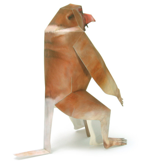 Proboscis monkey paper sculpture