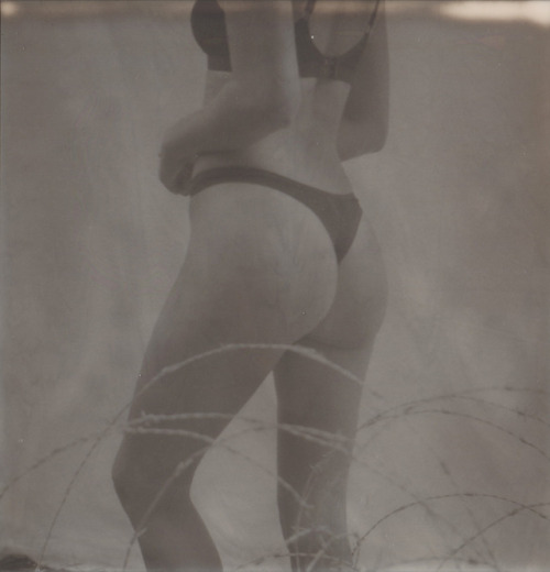 SX-70 by Hopeless Lingerie