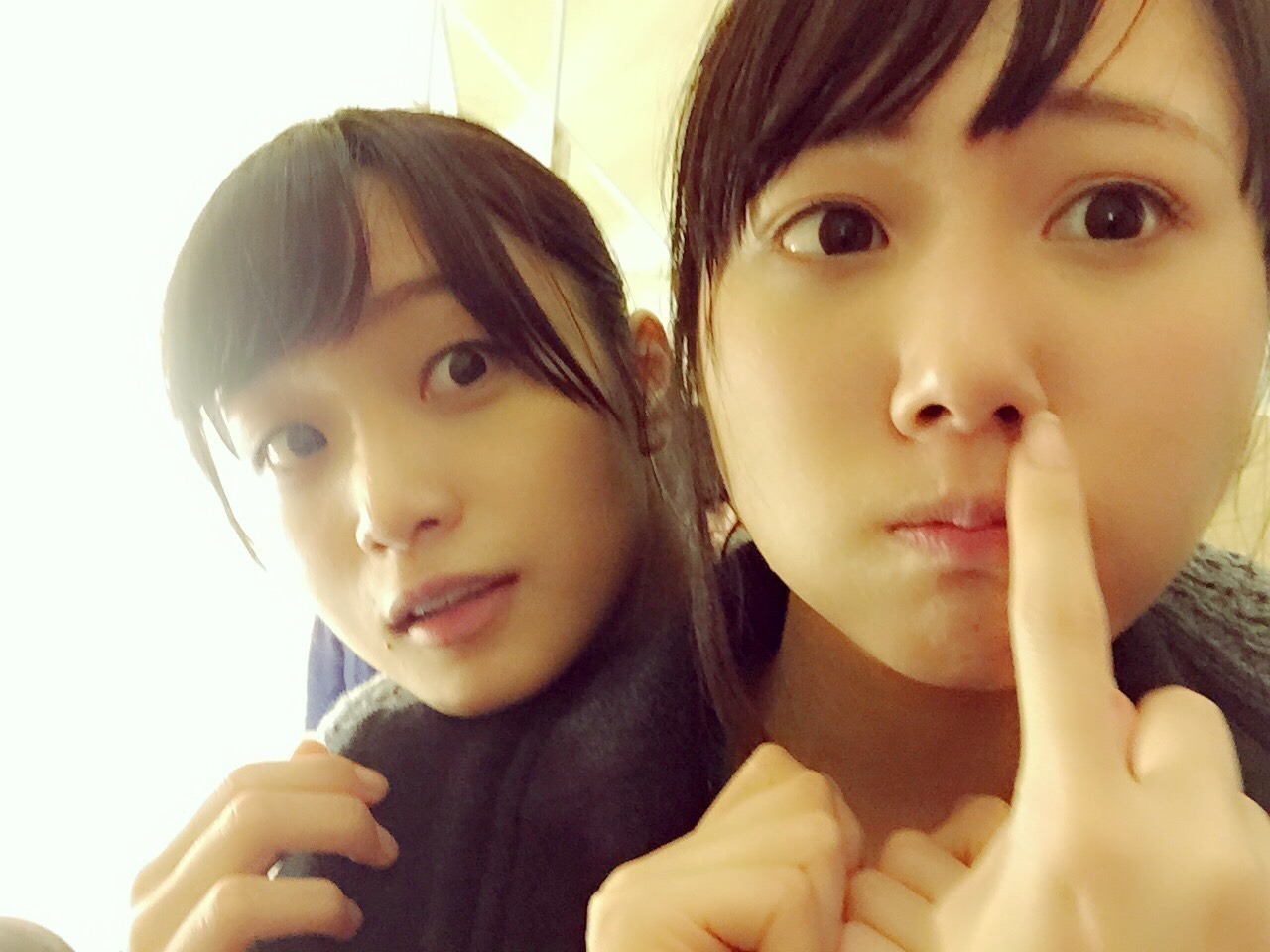 Nogifans