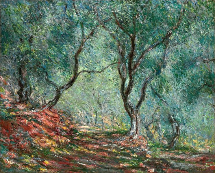 lonequixote:  Olive Tree Wood in the Moreno Garden ~ Claude Monet 