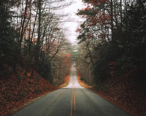 nevver:  Where I am may be lost, Jared Chambers 
