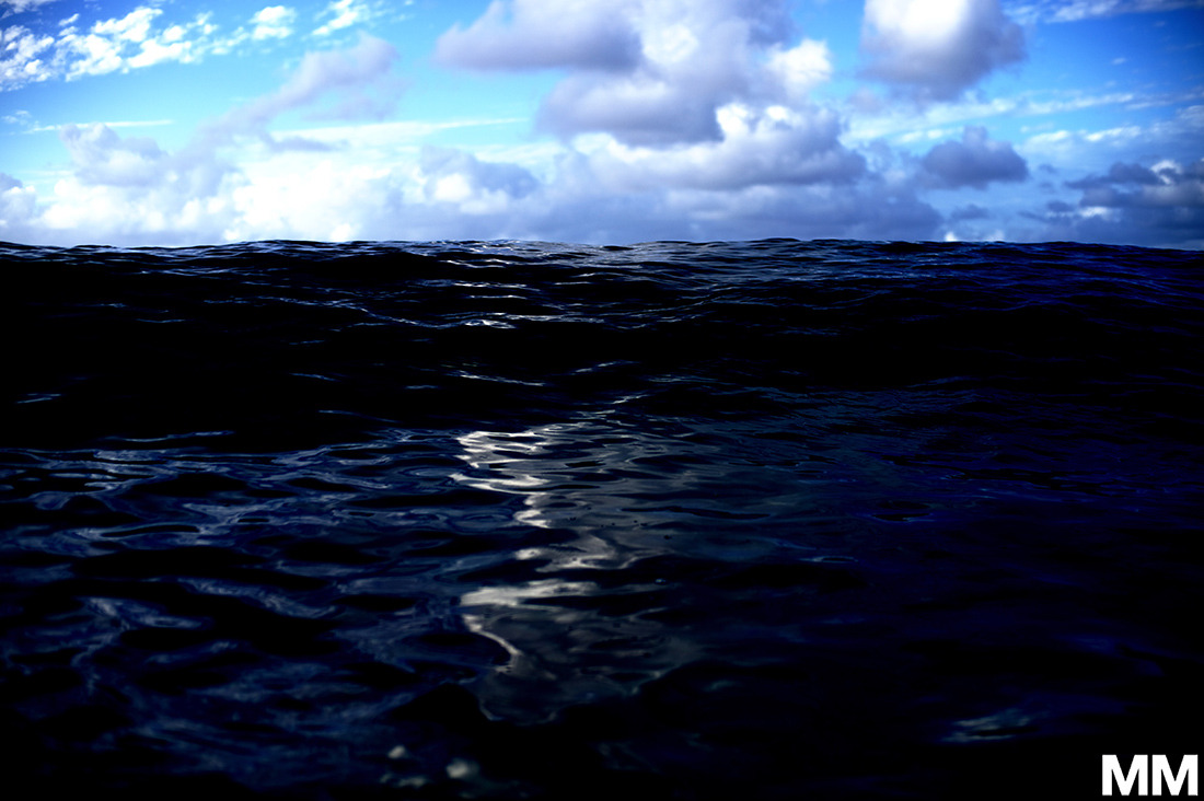 morganmaassen:  Moonlight in Hawaii…