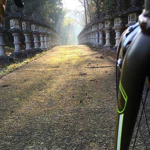 dfitzger:  By @_chrk_: さくっと早朝1時間半ライド。 120/500 #festive500 #rapha #kobe December 24, 2014 at 07:05PM 
