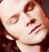 haleyjamesarchive:  jared padalecki in the supernatural gag reel → season seven
