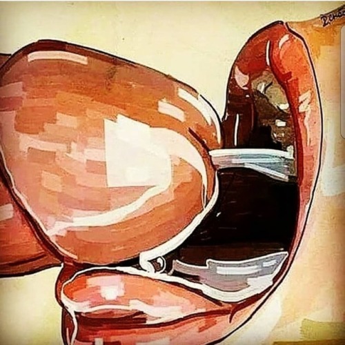 Marley's Mind