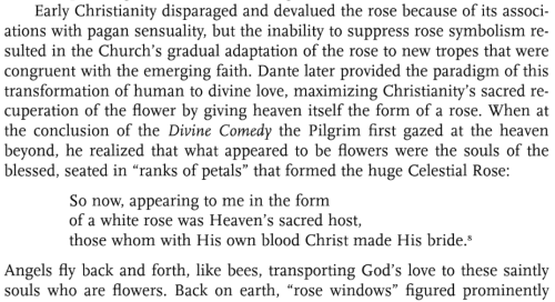 rotgospels:Frank Graziano, Wounds of Love: The Mystical Marriage of Saint Rose of Lima. 