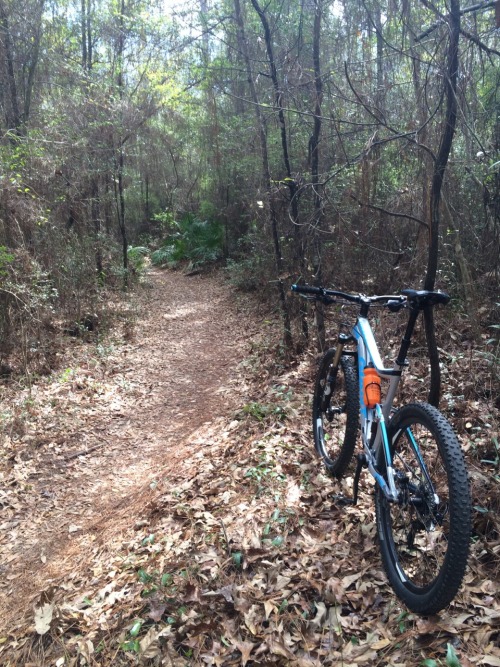 livelyant: Giant bike demo day. Had fun testing out the new 650b models. Rode an XTC and Trance. I r