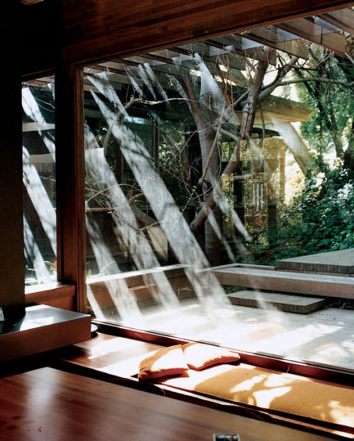 papalagiblog:Architect Ray Kappe built a multilevel house for his family back in 1967.