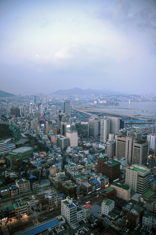 lovesouthkorea: busan korea by mariusz kluzniak 