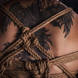 redrope-shibari:  ropes & foto: redrope