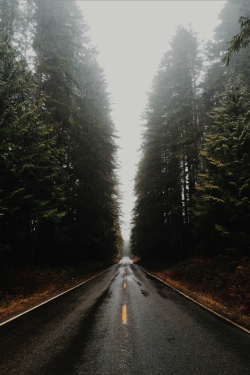 expressions-of-nature:  by VISHNU