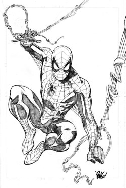 comicblah:  Spidey by Mike Wieringo! 