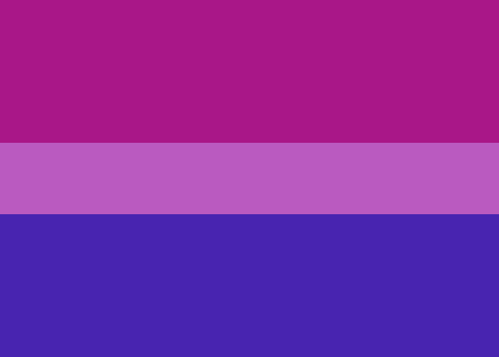 Aesthetic Pride Flags