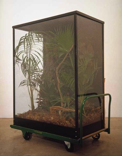 arterialtrees:‘Tropical Rain Forest Preserves’ (1989, remade 2003) by Mark Dion & William Scheff