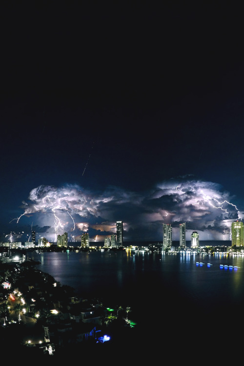 motivationsforlife:  Summer nights by Miami Fever // Instagram // Edited by MFL