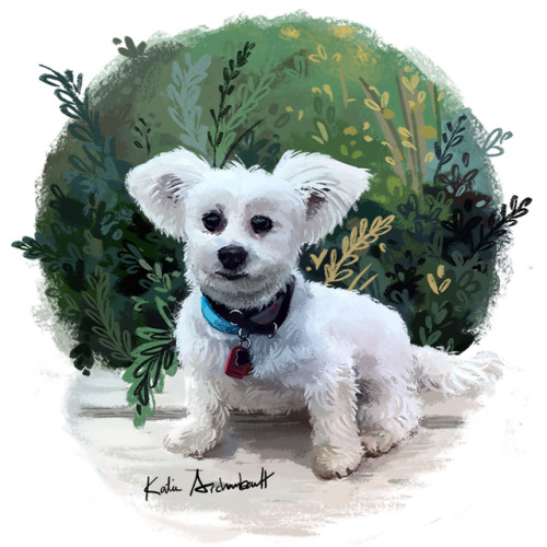 Another puppy portrait commission! I’m having so much fun with these.on dA.