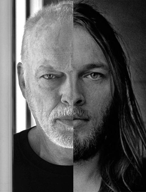 lyrics-by-heart:  David Gilmour now and then 