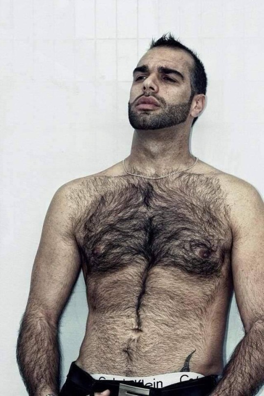Porn photo yummy1947: hairychestperfection2:     These