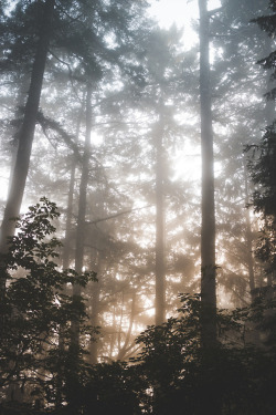 kylejengman:  Too much fog?