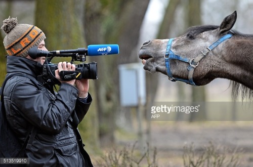 The Weird and The Wonderful: Explore this week’s offbeat photos